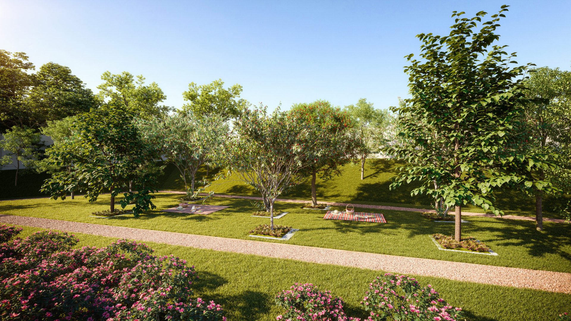 Longitude_Monte_Mor_12_Picnic_HR